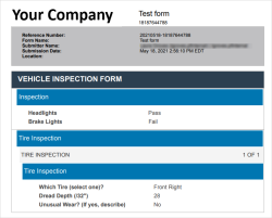 Example PDF form page